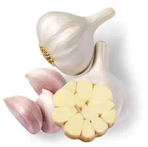 Good Price Garlic&ginger&onion&carrot with GLOBAL GAP&ISO9001 Newest Crop Green Vegetables Export