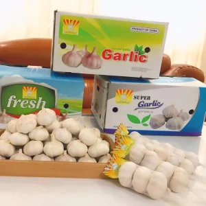 Good Quality Fresh Garlic White and Ajo Garlic for