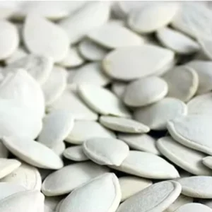 Good Quality Sonw White Pumpkin Seed Raw Pumpkin Seed In Shell On Sale