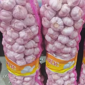 Good quality Fresh white garlic peeled garlic fresh garlic fresh garlic supplier fresh garlic garlic vegetables