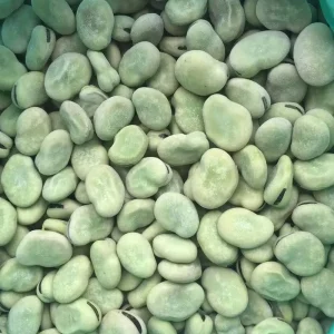 Grade a IQF Frozen Peeled Broad Beans HACCP Certified 10kg CTN Natural Green High Quality Frozen Vegetables for Food Processing