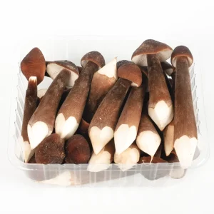 HORECA Factory Cultivated Chinese Fresh Royal Chestnut Mushrooms