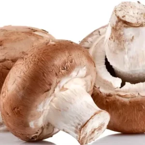 Healthy Green Low Price Professional Certification BRC IQF Mushrooms