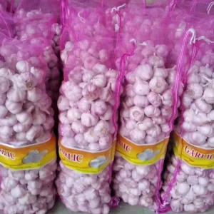 High Grade Fresh Garlic China Fresh White Garlic Bulk Ajo Ail Alho Fresh Vegetables Trusted Fresh Garlic Supplier