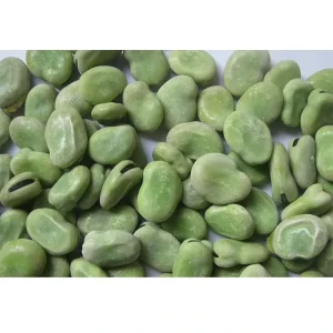 High Grade Green Healthy Vegetable IQF Whole Raw Material Organic Freeze Broad Bean for Sale