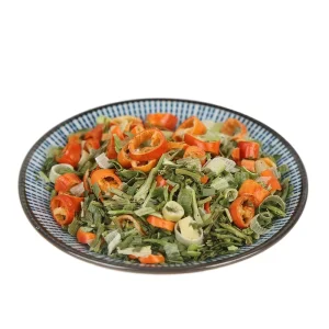 High Quality Bulk AD Dried Colorful Blend of Broccoli Red Bell Pepper Purple Carrot & Green Beans Mixed Vegetable