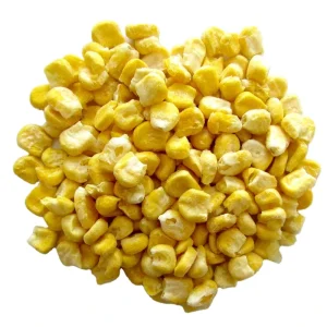 High Quality Chinese Freeze Dried Corn Kernels Sugar Free and Preserved Whole Super Sweet Dry Vegetables in Bulk Packaging