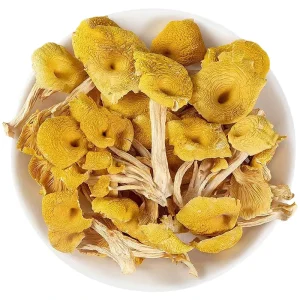 High Quality Dried Chanterelle Shiitake Mushrooms Cultivated Source Raw Processing Type