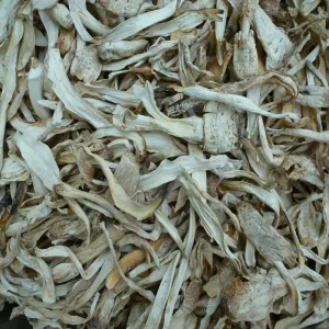 High Quality Dried Shaggy Mane Shaggy Ink Cap King Oyster Mushroom Pleurotus Eryngii Edible Mushrooms King Oyster Funghi