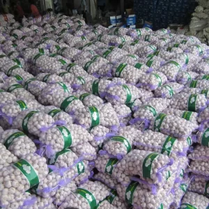 High Quality Fresh White Garlic 4.0cm4.5cm 10kg Bag OEM&ODM Professional Supplier of Fresh Vegetables