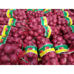 High Quality Fresh Yellow and Red Onions Export to Fresh New Crop Onion 10kg 25kg 50kg Mesh Bag Onion for Sale