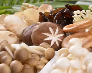 High Quality Frozen Diced Mushrooms IQF Mushroom Cubes for Industrial Food Processing Sauce Making Healthy Ingredients
