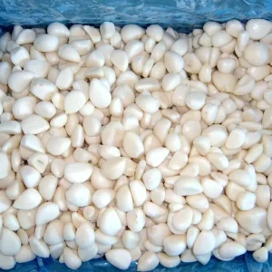 High Quality IQF Frozen Garlic Export Frozen Vegetable Supplier Frozen Peeled IQF Garlic Cloves Frozen Garlic Vegetable