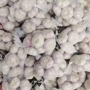 High Quality Large Size Pure Fresh Garlic China Supplier Vegetable Agricultural Products Export Pure Fresh White Garlic
