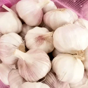 High Quality Premium Fresh Garlic New Crop From Shandong China Certified (ISO 22000 HACCP GLOBAL GAP) for Food Processing Retail