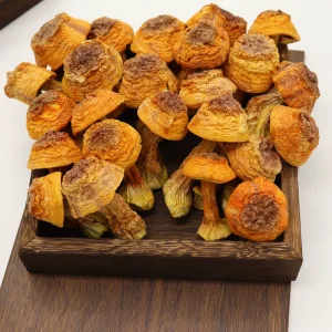 High Quality Wild Plant Dried Himalayan Mushroom Korean Edible Agaricus Blazei FD Processed