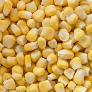 High quality Halal Chinese Frozen Vegetables Bulk Bag LQF Frozen Sweet Yellow Corn Grade a 24 Months Shelf Life