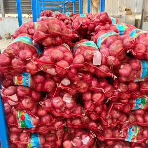 High quality Red Onions Are the Best Fresh Vegetables Peeled and Exported Hygienic and Fresh Red Onions