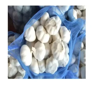 Hot Sales Chinese Fresh Garlic China in Newest Crop Export Garlic Price Alho