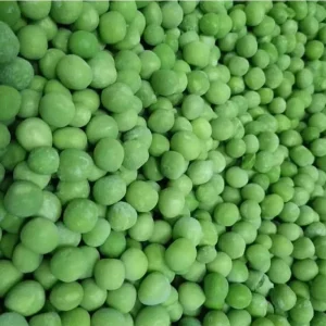 Hot Selling IQF Frozen Green Beans Ace Products From China At Low Price High Quality Fresh Frozen Vegetables