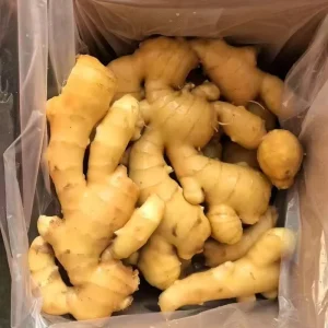 Hot Selling New Harvest Large Ginger High Quality Vegetable Fresh Ginger Spicy Mature Ginger Export to Europe