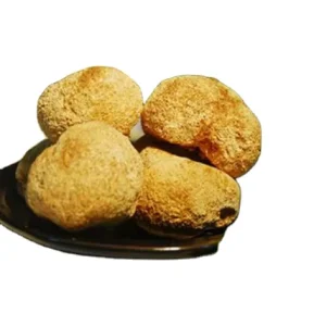 Hou Tou Gu Edible Raw Hericium Mushroom Dried Whole Unbranched Hericium for Food