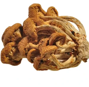 Hua Zi Gu Nameko Raw Loose Edible Mushroom Dried Nameko Slices for Food