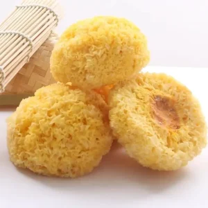 Huaran Yulin Guangxi China Edible Mushrooms Tremella Fuciformis Silvery Fungi Dried White Fungus for Food