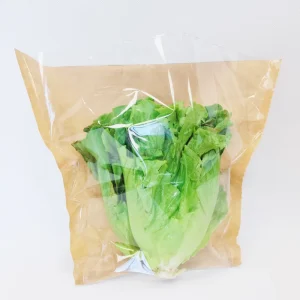 Hydroponics Living Lettuce With Roots Fresh Keeping Herb Bags With Bottom Closed
