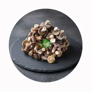 IQF Frozen Organic Porcini Mushrooms ISO HACCP Certified