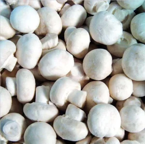 IQF Frozen Peeled Champignon Mushrooms 10 kg Pack