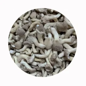 IQF Frozen Tiny Small Cutting Punnet Pleurote Pale Flat Oyster Hat Oysterling Hiratake Branched Mushroom Sliced Fresh Healthy