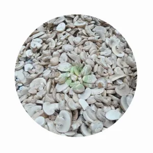 IQF Frozen Whole Button Mushrooms
