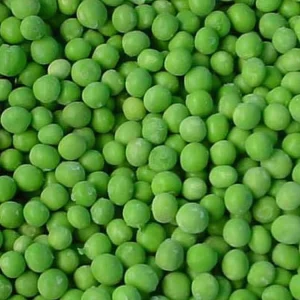 IQF GMO HACCP Certified Frozen Green Peas 10kg All Year Round