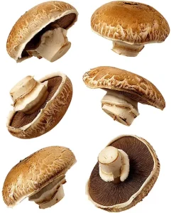 IQF Mixed Mushrooms Nameko Oyster Button Shiitake Tricholoma Matsutake and Butter Mushrooms