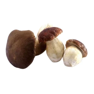 IQF Organic Cultivated Porcini Mushrooms Frozen Boletus Edulis