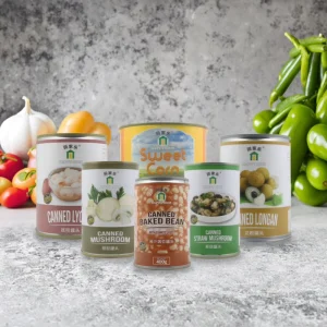 JOLION Factory Price Halal Bulk Healthy Fresh Vegetable Natural Whole Mushroom Canned Chinese Food