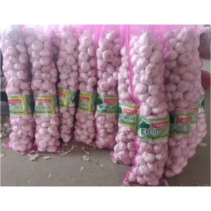 Jining Shandong New Crop Ail China Garlic Fresh Vegetables Seeds For Planting Bawang Putih Ajo Alho Garlic Price Export