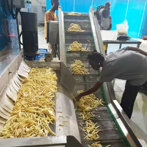 KAYA Full Automatic 1tons h Vegetables Frozen French Fries Production Line with European Style Integrated Solutions 380V