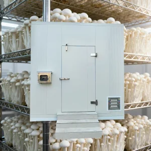 LANDING Large Shipping Container Farming Mushroom Growing Equipment Room Intelligent Automatic Control Model