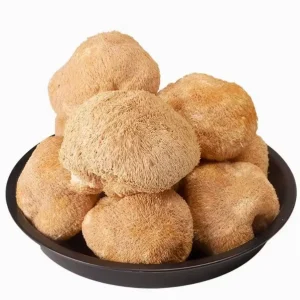Lion’s Mane Mushroom Bearded Tooth Mushroom From Hericium Erinaceus