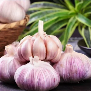 Low Price Garlic Fresh Garlic Kosher Pickled Whole Bulbs Fresh Vegetables