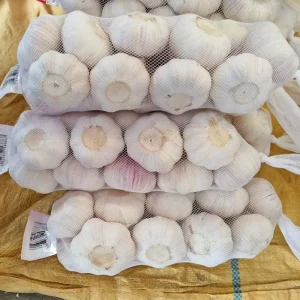 Low Price Garlic Fresh Garlic Kosher Pickled Whole Bulbs Fresh Vegetables