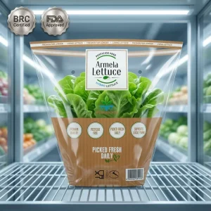 Manufacturer Custom Printed Trapezoid Shape CPP Cellophane Bag Lettuce Packaging Vegetable Bags
