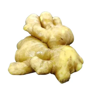 Manufacturer Supply Organic Fresh Ginger Selling Ginger Good Quality Fresh Ginger Price
