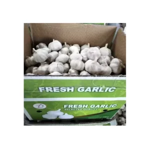 Manufacturer Supply of Fresh Peeled Garlic Normal and Pure White Alho Ajo Garlic Processed