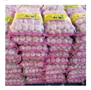 Market Peeled Garlic Price fresh Snow White Garlic fresh Garlic Normal White Pure White
