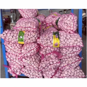 Market Peeled Garlic Price fresh Snow White Garlic fresh Garlic Normal White Pure White Fresh Vegetable Bawang Putih