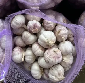 Market Peeled Garlic Price fresh Snow White Garlic fresh Garlic Normal White Pure White Fresh Vegetable Bawang Putih