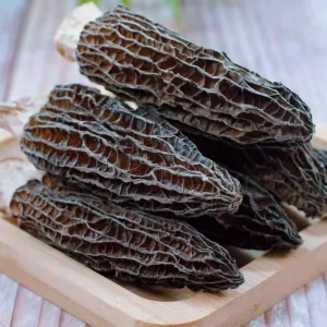Morel Mushroom